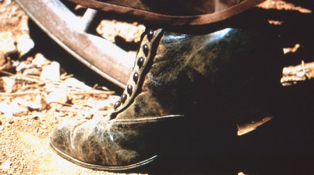 Pioneer Button shoe