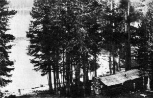 Murphy's Cabins at Tenaya Lake