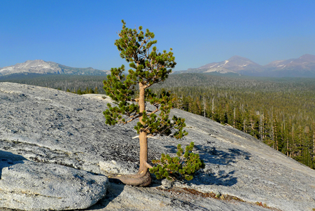 On Yosemite's Lembert Dome