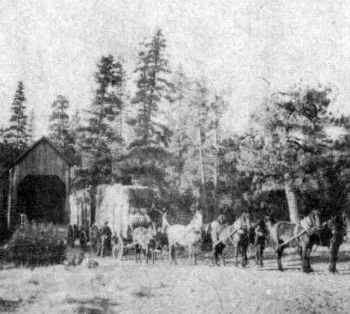 Historic covered bridge. Hay Wagon crossing the historic Wawona bridge.