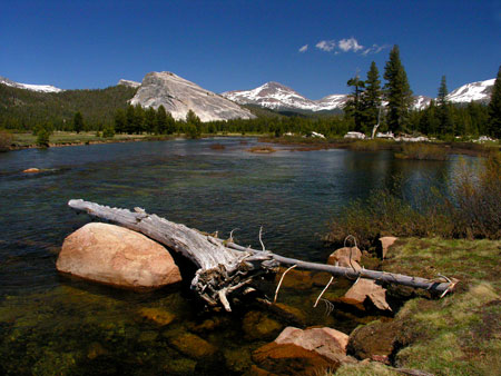 Tuolumne Meadows with lembert Dome and Mount Dana