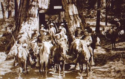 US Cavalry at the Wawona Tunnel Tree
