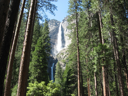 Yosemite Falls In The Spring