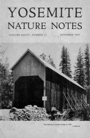 Covered Bridge. Wawona Bridge cover, Yosemite Nature Notes November 1957