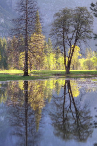 Yosemite Valley Reflections. AllPosters.com