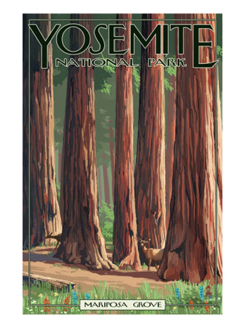 The Mariposa Grove Of Big Trees-Yosemite-AllPosters.com