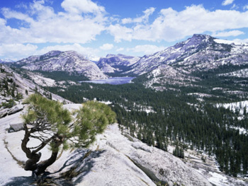 Tenaya Lake From Olmstead Point. AllPosters.com