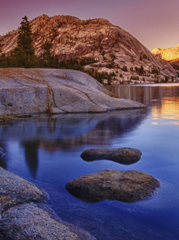 Tenaya Lake early evening. AllPosters.com