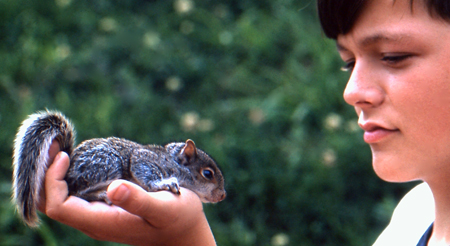 Baby squirrel in Yosemite