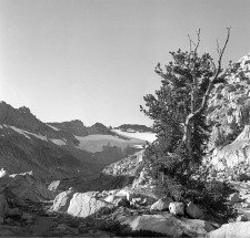 The crest of Yosemite's Sierran Range. DHH photo