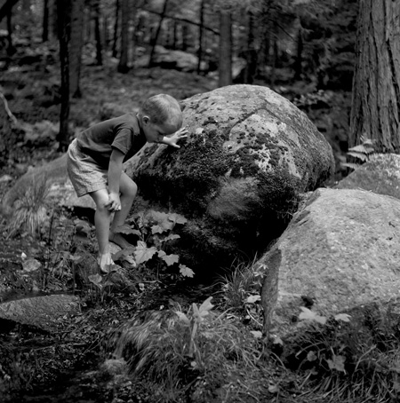 Exploring Yosemites Creeks