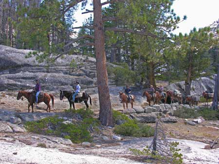 Saddletrip On Yosemites Merced River Trail. Courtesy of DNC