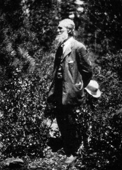 John Muir In Yosemite Valley