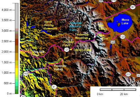 Tioga Road Topographic Map