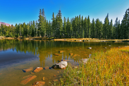 Beautiful scenery surrounds you on the Tioga Road through Yosemite's High Country