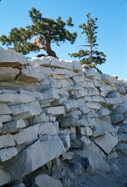 Tioga Road Geological exfoliation. DHH Photo