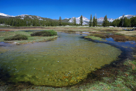 Tuolumne Meadows Tioga Road, Yosemite