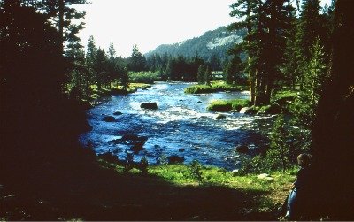 Tuolumne River Lyell Fork. Copyright DH Hubbard