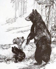 Yosemites Bears From "Furry Friends Of Yosemite."