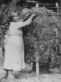 How the Yosemite Indians stored their acorns