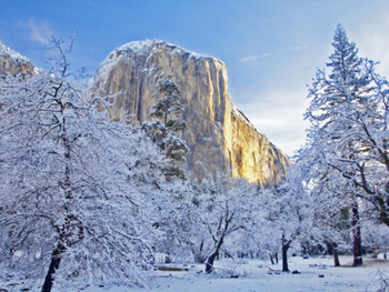 El Capitan early morning winter sun. AllPosters.com