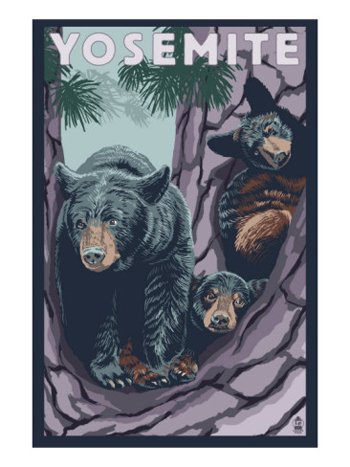 Yosemite Black Bears-AllPosters.com